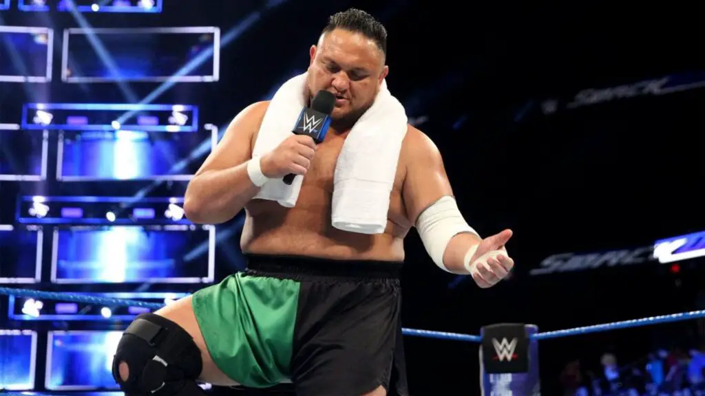 Professional Wrestling